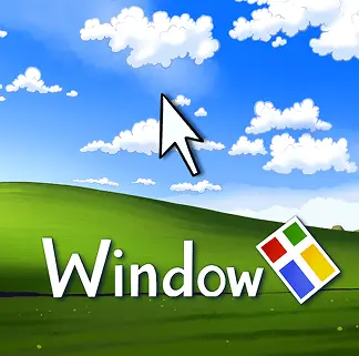 Windows X